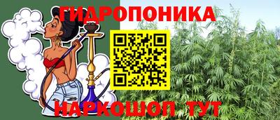 гашик Брянск