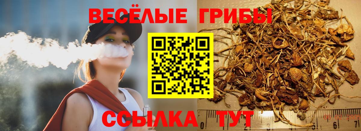 Галлюциногенные грибы Psilocybe Крымск